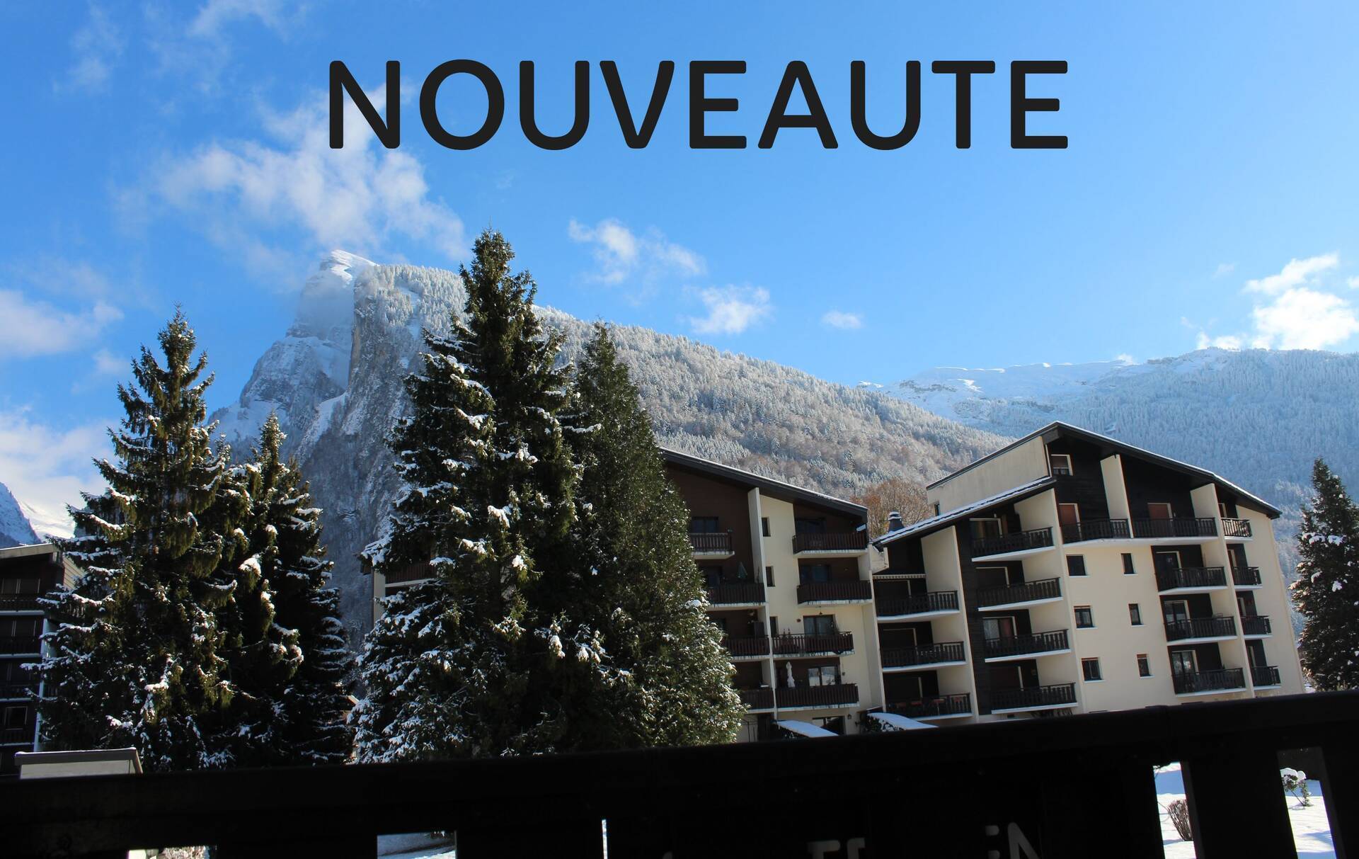 Appartement 27.71m² à vendre à Samoëns 74340